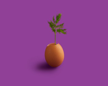 Stoica Ionela / Unsplash